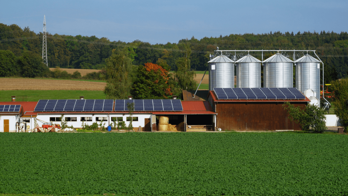 Agrofotovoltaico: Representa 14% de toda a capacidade nacional de geração de energia solar.