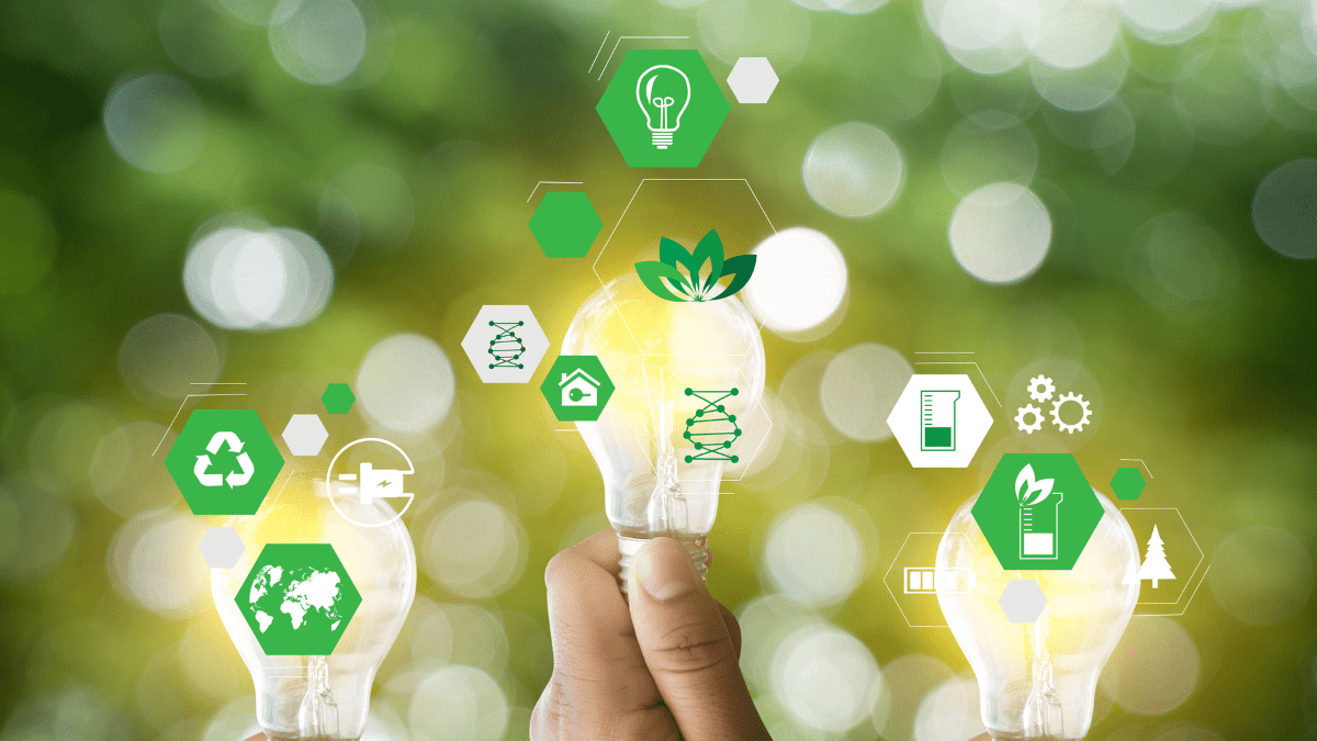 Selos de Sustentabilidade: Um compromisso com práticas responsáveis