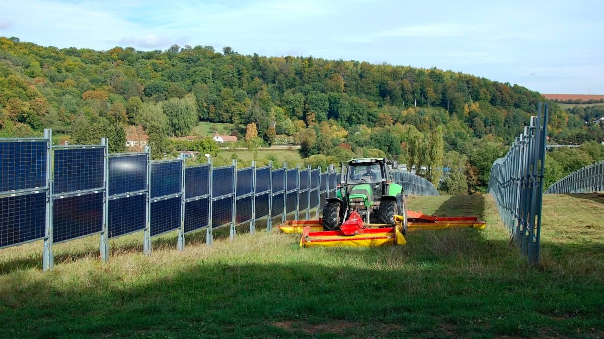 AE Solar präsentiert TERRA, den neuen Photovoltaik-Modul für die Agrarwirtschaft