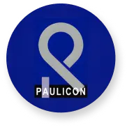Paulicon Consultoria